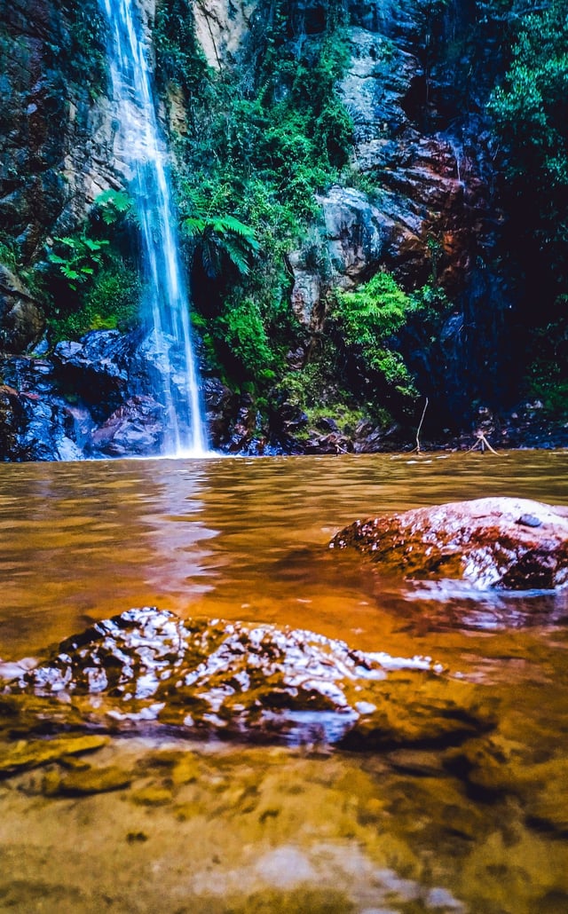 Foto