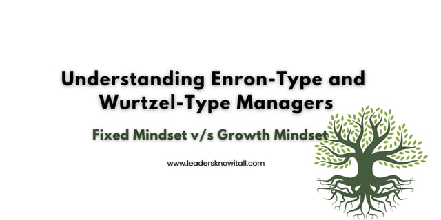 growth mindset and fixed mindset enron and wurtzel