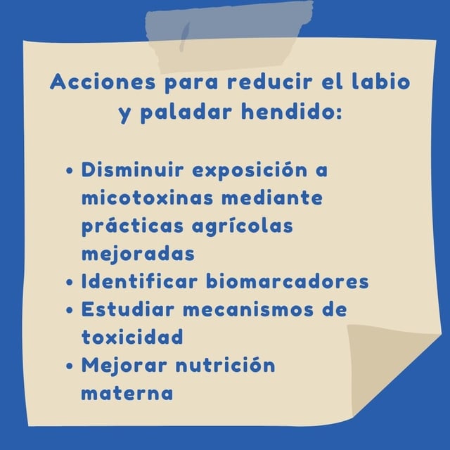 labio y paladar hendido
