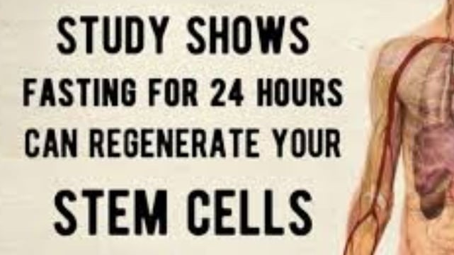 stem cell