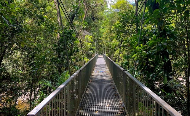 a bridge with a metal bridge and a metal bridge