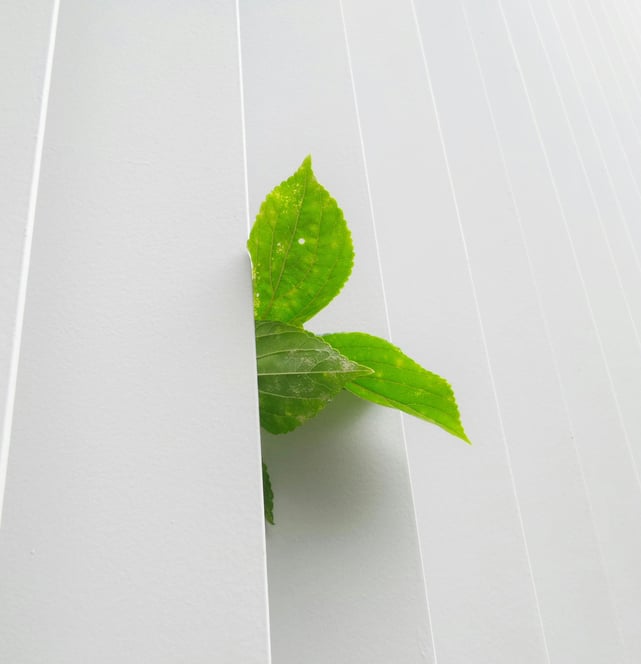 ri eco ecologie
