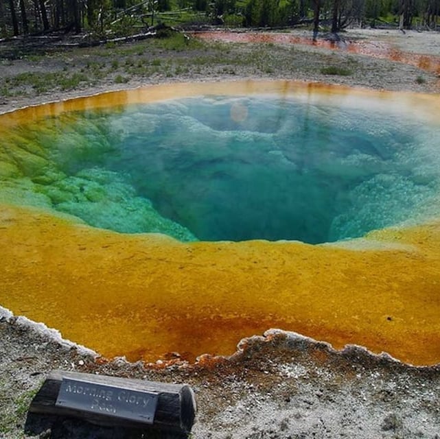 Yellowstone Ouest : Excursion d'une journée à Yellowstone avec droit d'entrée