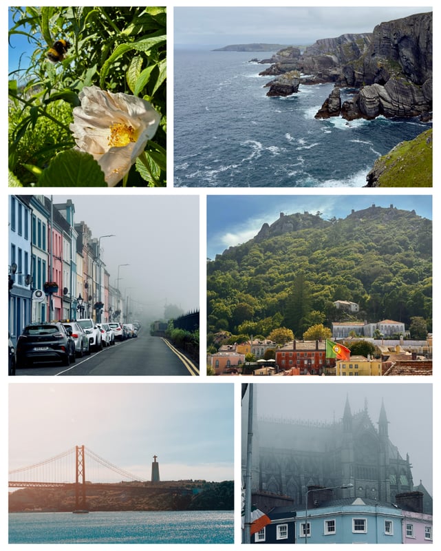 a collage of photos of a city with a bridge and a bridge