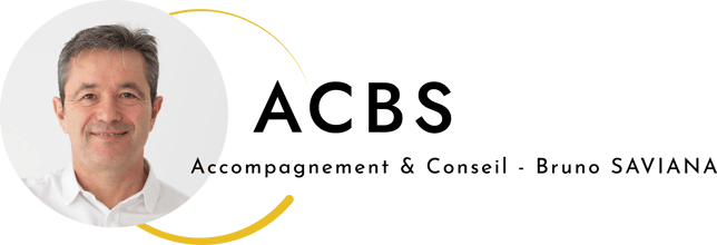 Bruno Saviana logo