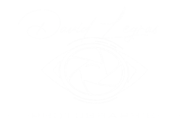 David Legras Photographie logo