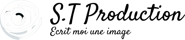 S.T-Production logo