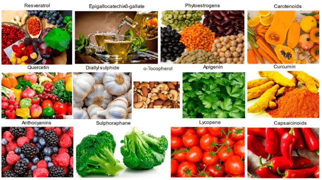 Alimentation pour se protéger du cancer