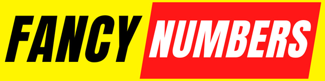 FANCY NUMBERS STORE logo