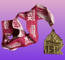 2006 Minnie Marathon Weekend Women Run the World 15K Medal