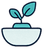 planta minimalista