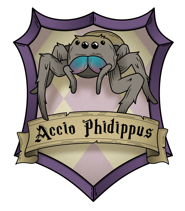 Accio Phidippus logo