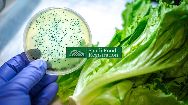 SFDA lab testing food contamination with bacteria culture plate for product recall in Saudi Arabia.