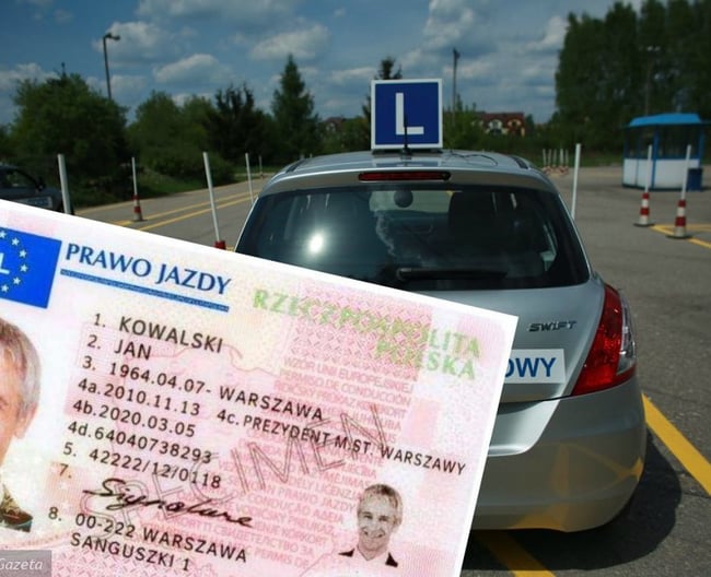 polski prawo jadzy