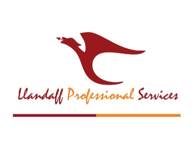 Llandaff Professional Services logo