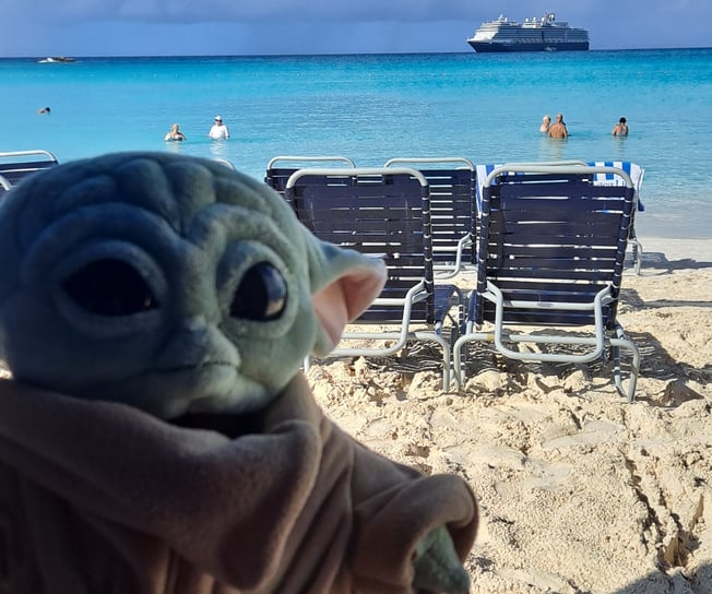 Little Green Companion on Beach
