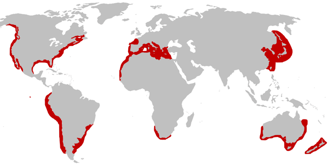 repartition-geographique-requin