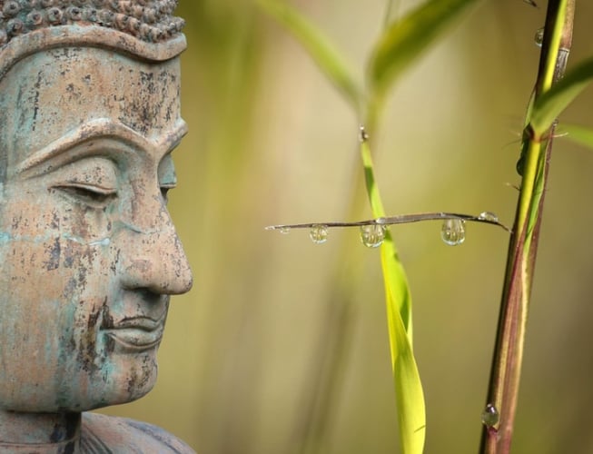 a buddha statue with a small insect on it