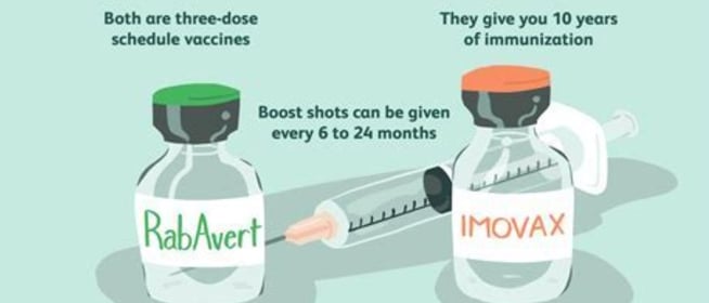 vaccination's