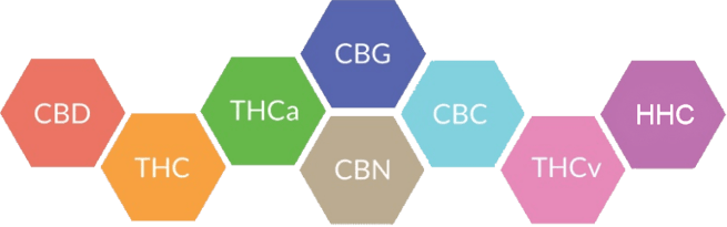 Cannabinoids in malta