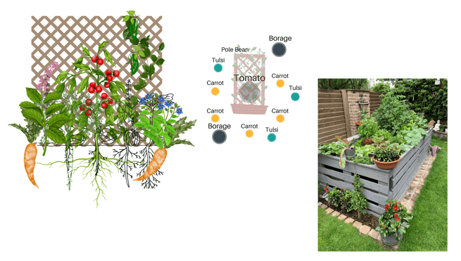 Permaculture Guilds