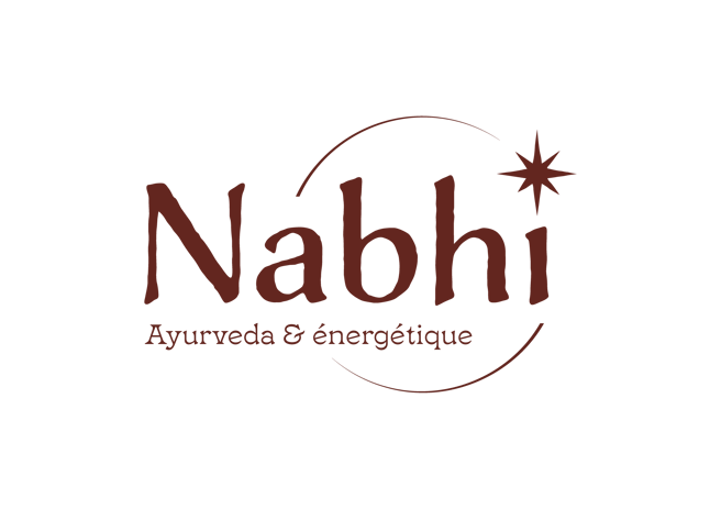 www.nabhi.ch logo