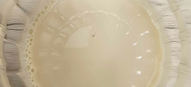 Mon Test du Lait Oatly Barista : Une Alternative au Lait de Vache 3 Image 3