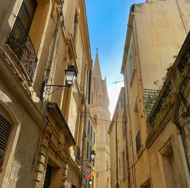 SEMINAIRE MONTPELLIER OLEIS TRAVEL