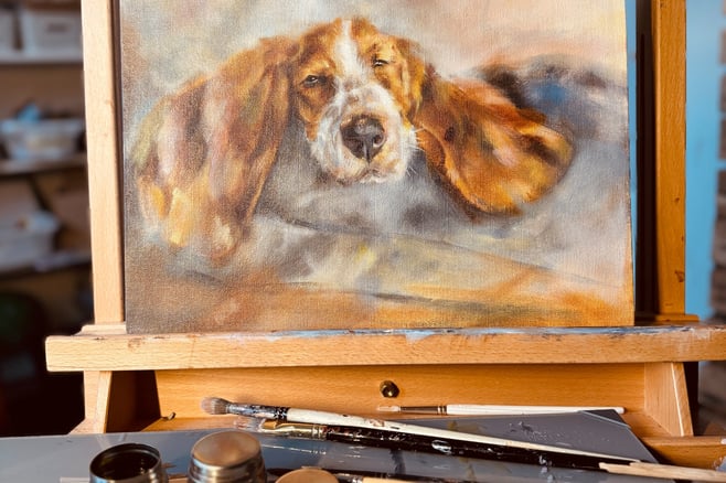 A painting of a Basset Hound I am working on