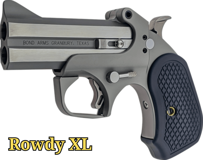 bond arms rowdy