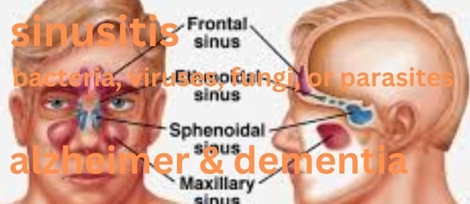 types of infections