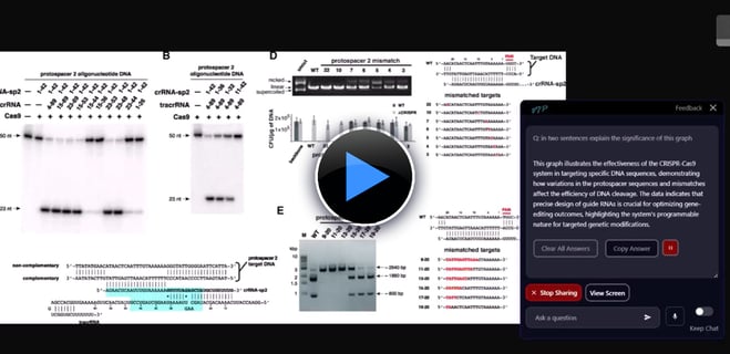 Demo of VIP an AI-driven Vision pilot on a Medical Graph 