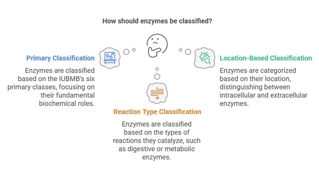 bases of enzyme classification