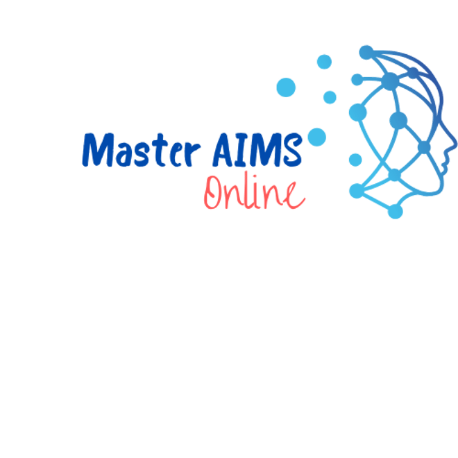AMIS Online logo