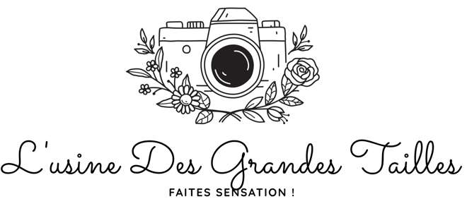 lusinedesgrandestailles logo