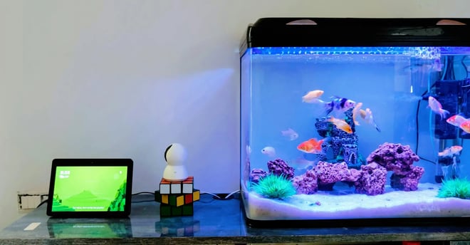 Pecera iluminada con LED junto a una tablet