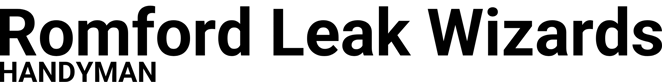 Romford Leak Wizards logo