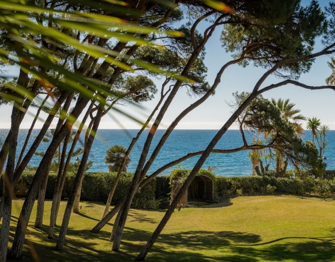 Expansive garden and sea views from the guest house at Villa El Rincon in Marbella.
