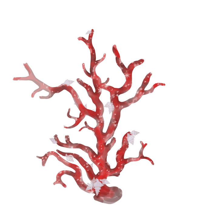 Corallium rubrum with Hirtomurex Squamosus, Adobe Photoshop drawing 