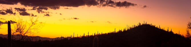 A panoramic photo of the Sonoran Desert. Transport yourself to this wonderland with a gallery quality print.