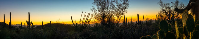 A panoramic photo of the Sonoran Desert. Transport yourself to this wonderland with a gallery quality print.