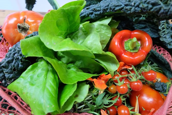 a basket of vegetables and vegetables on a table