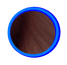 Le seal est la couleur la plus foncée du Ragdoll, elle va du marron clair au noir profond.