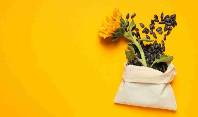 How Rotten Flowers Sparked