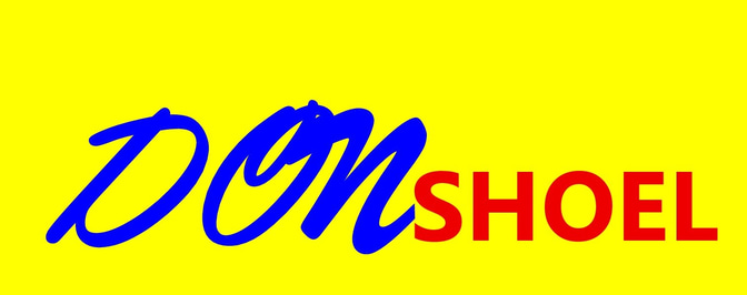 DONSHOEL STORES logo