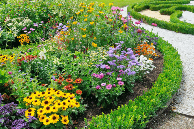 a garden with a circular shaped garden with a circular shaped garden