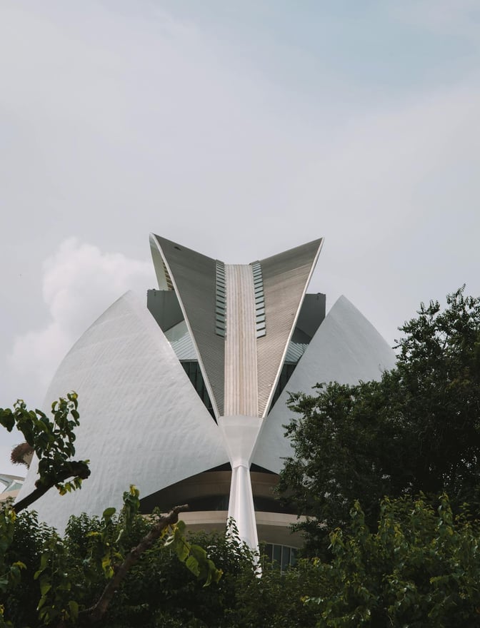 Vista frontale del Museo delle Scienze Naturali di Valencia, architettura futuristica