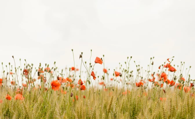 nature et santé