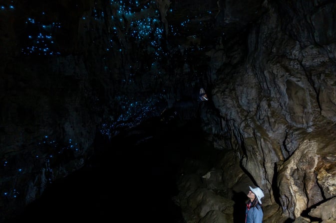 Waipu Glow Worms