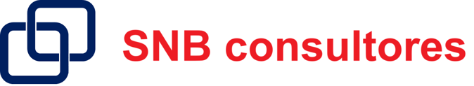 SNB Consultores logo